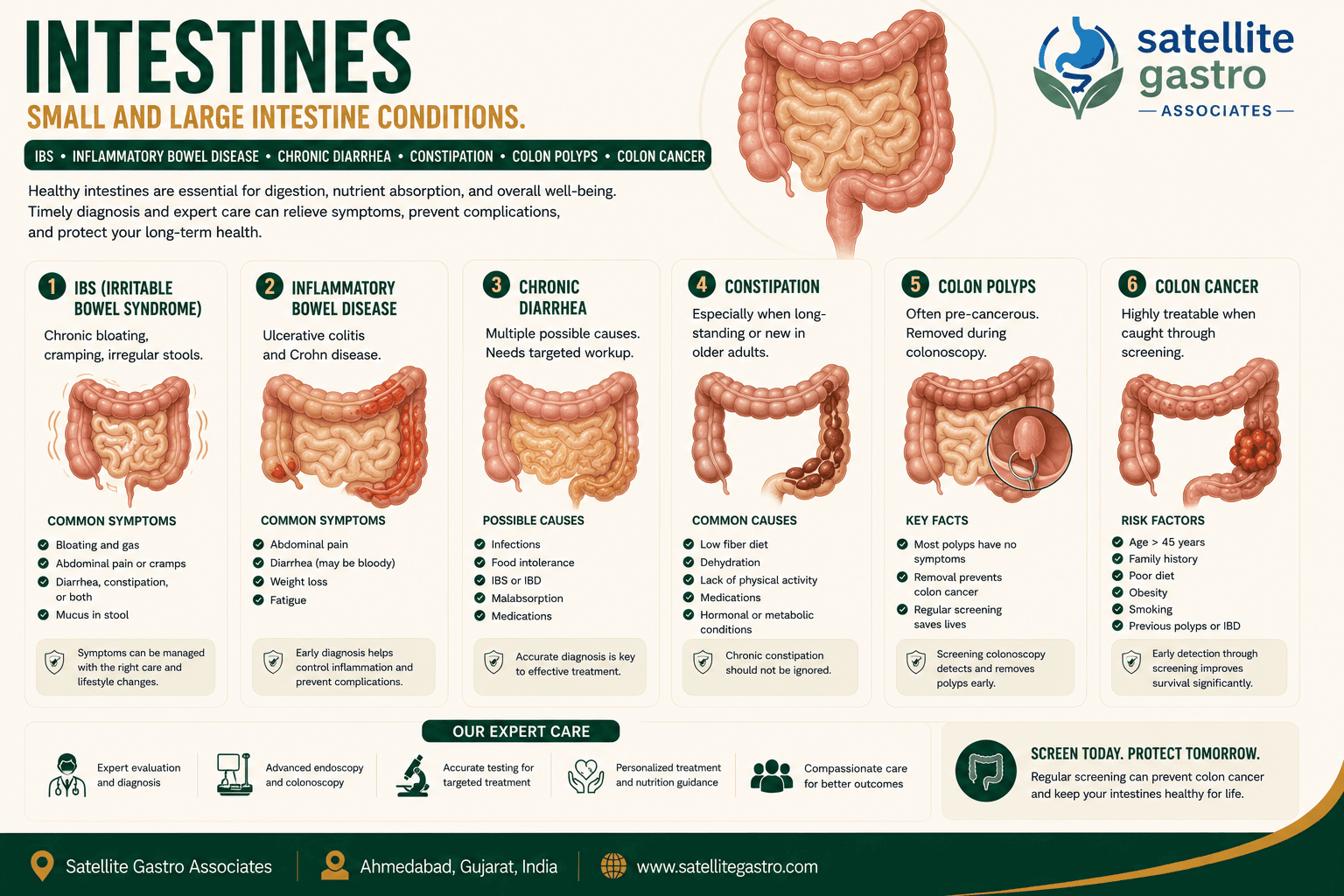 Intestines